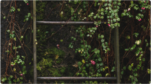 Imagen de cuenta de ahorro